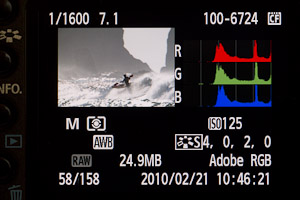 Camera back showing RGB histogram.