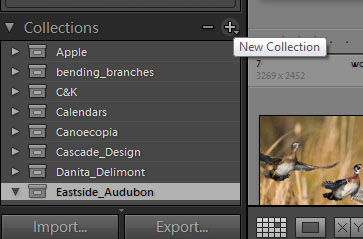 Here I've already created a Collection Set called Eastside_Audubon.