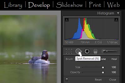 Lightroom 2 Develop module, showing Spot Removal tool location