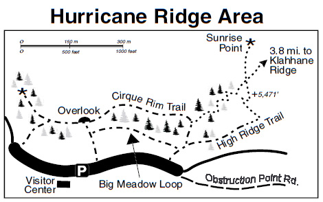 hurricane_ridge_map