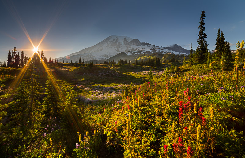 6-blade 14mm at f/22, enhanced by shooting through the treetop. Mt. Rainier National Park.