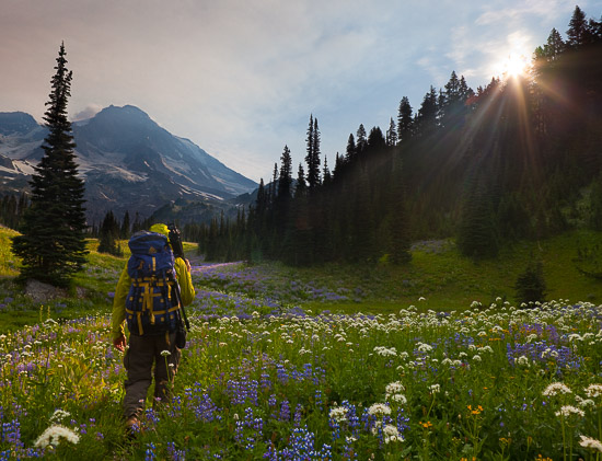 Backpacker at Indian Henry's Hunting Ground, Mt. Rainier NP