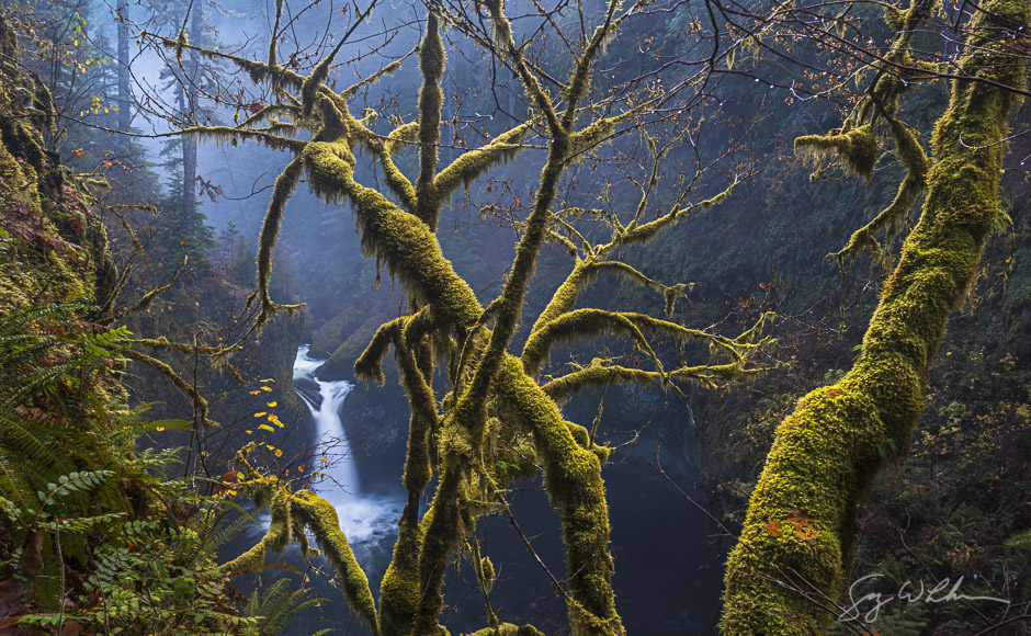 Punchbowl Falls. Sony a6300, 16-50mm f/3.5-5.6, 1/6s, f/11, ISO100