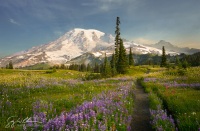 Wonderland at Mazama Ridge.