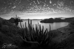 Puerto Balandra, Isla Carmen
