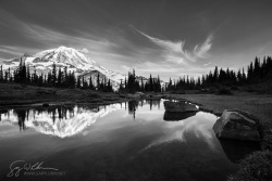 Spray Park Reflections