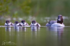 Mom and Kids