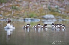 Mom and Kids II
