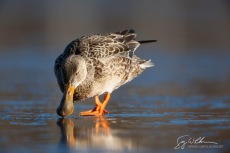 On Thin Ice