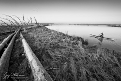 Winter Morning on Skagit Bay