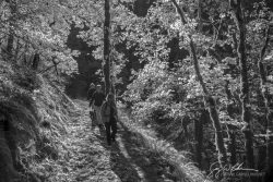 Eagle Creek Trail