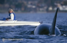Dyes inlet, Puget Sound