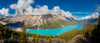 Peyto Lake, Alberta, Canada.