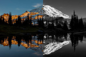 Color/Black and White, from the same RAW file